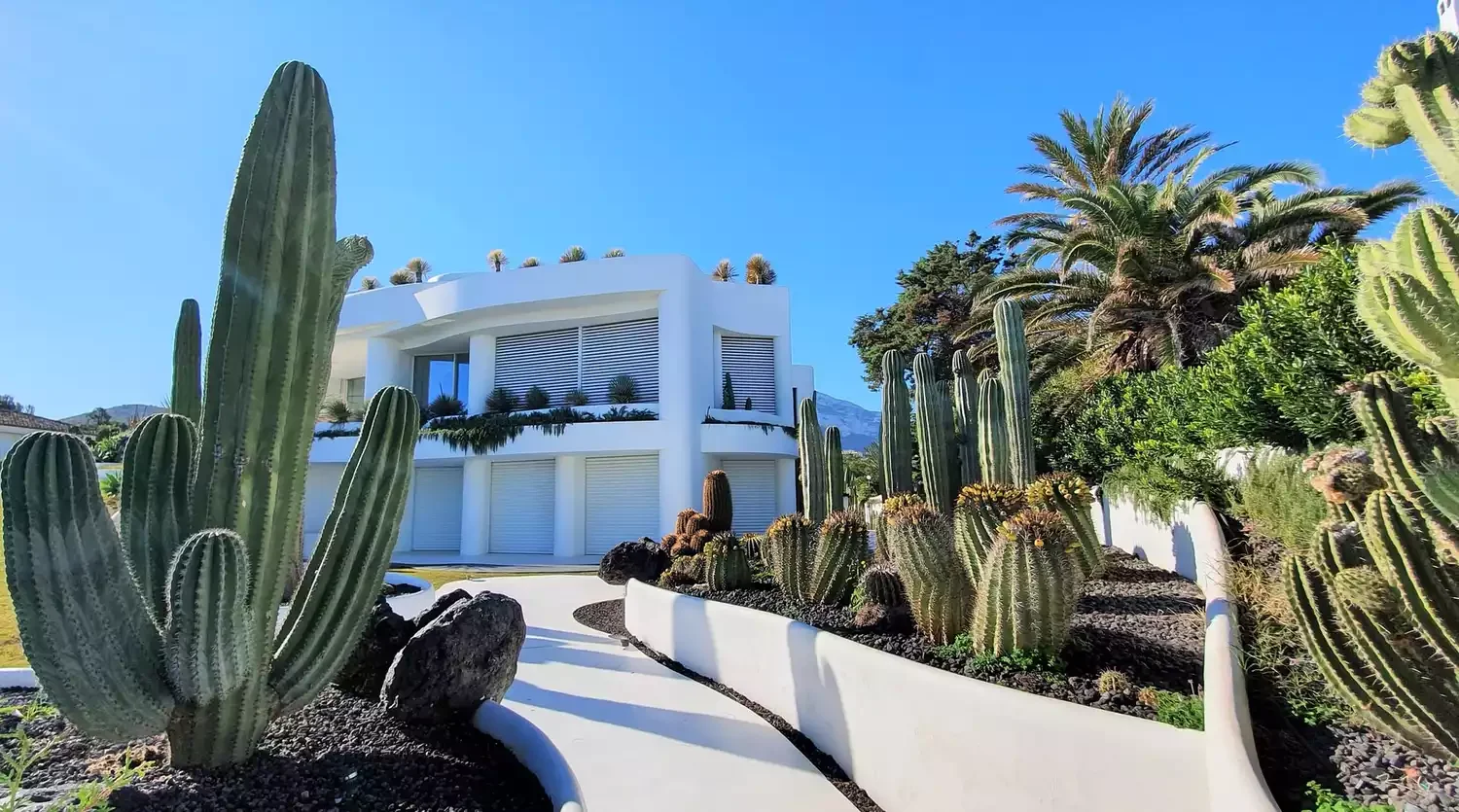 42 Stunning Retaining Wall Ideas to Transform Your Landscape Retaining Walls in Xeriscaping