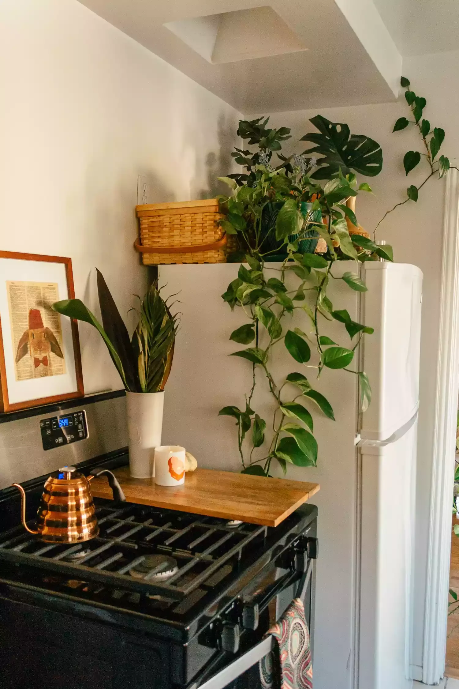 31 Bohemian Kitchen Ideas That Will Transform Your Space with Personality 14 Rethink Your Plant Stands