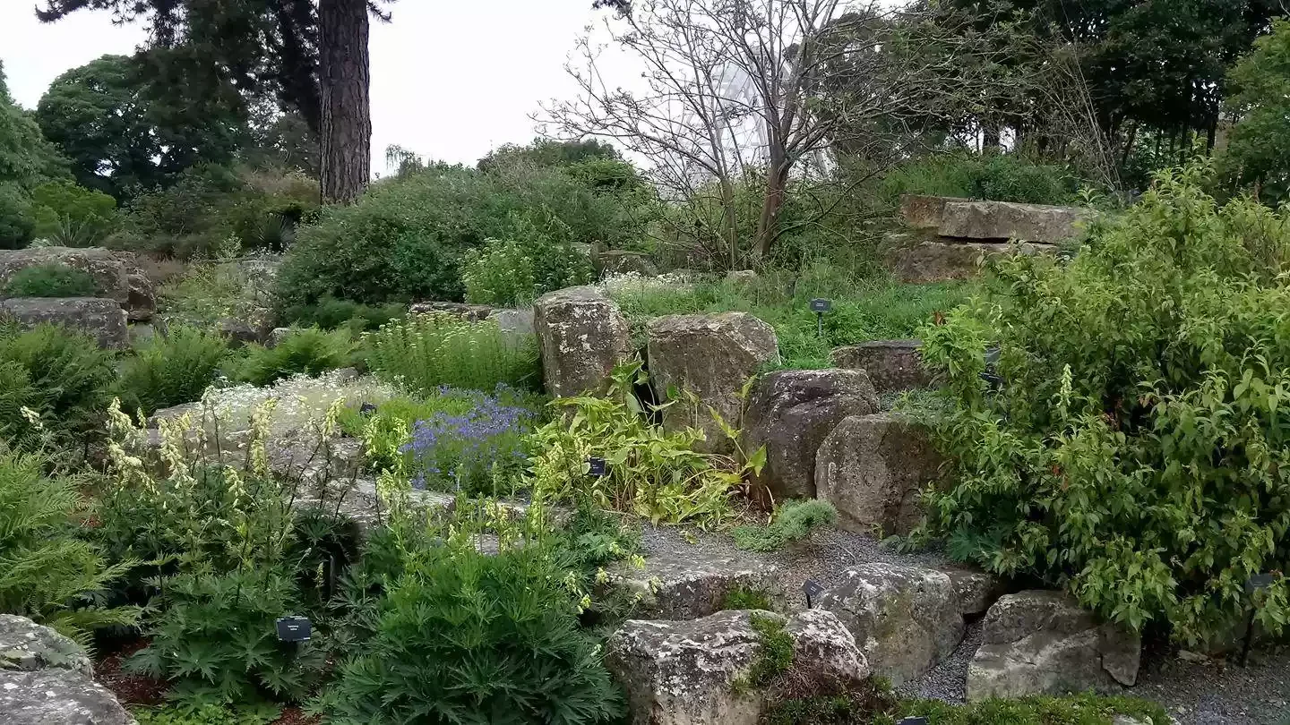 12 Water-Smart Landscaping Ideas for Your Home Rock Gardens