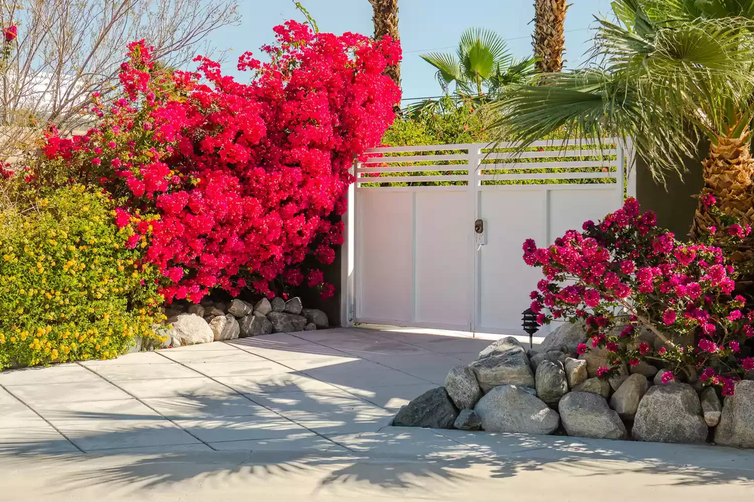 Rocks and Flowering Bushes