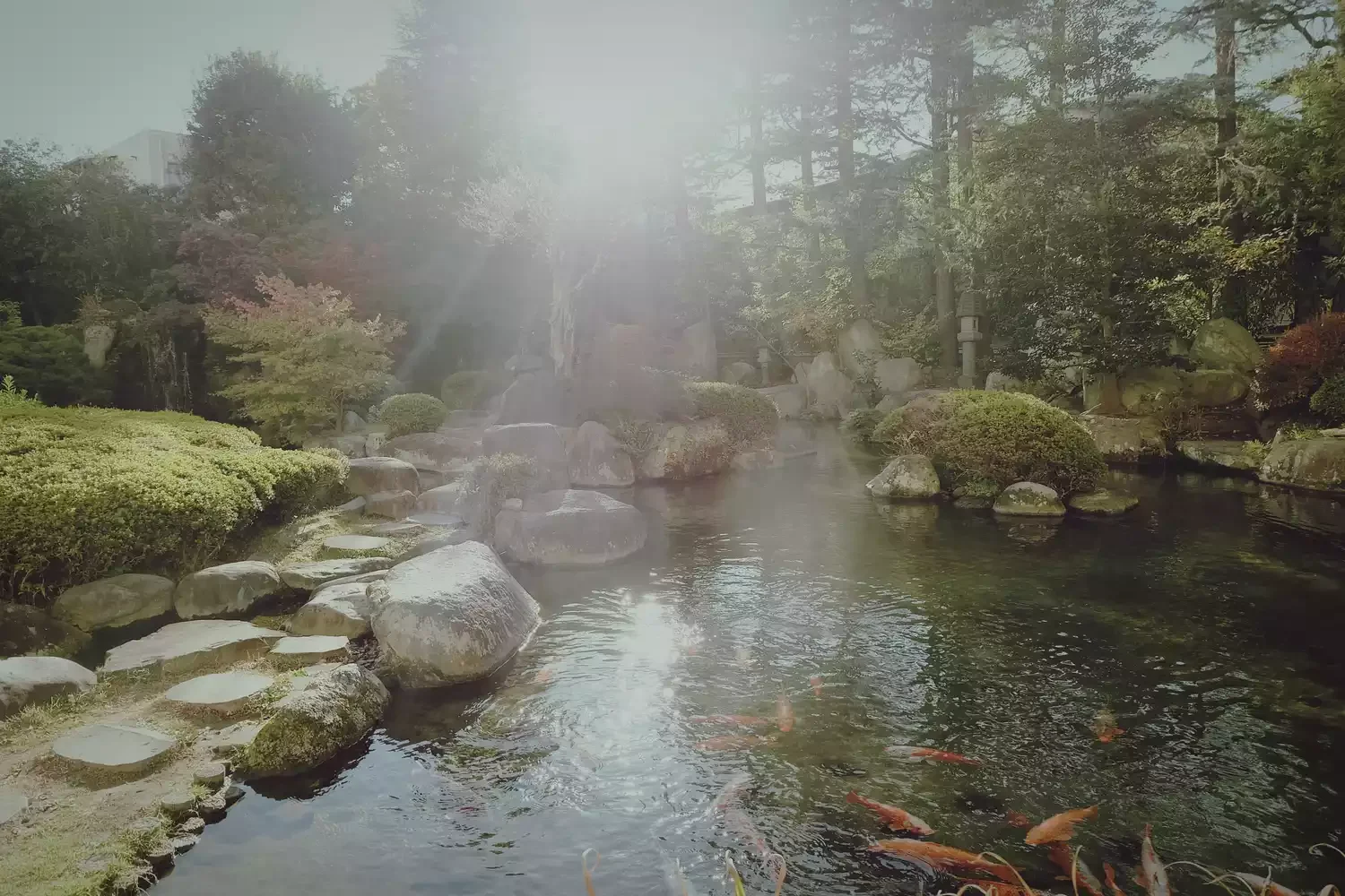 24 Beautiful Koi Pond Designs to Transform Your Outdoor Space Rocky Koi Pond