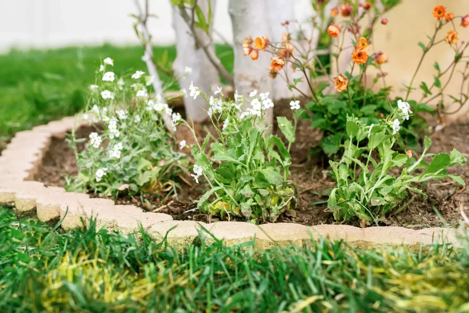 15 Beautiful Brick Border Ideas to Frame Your Garden Beds on Any Budget Round Brick Edging