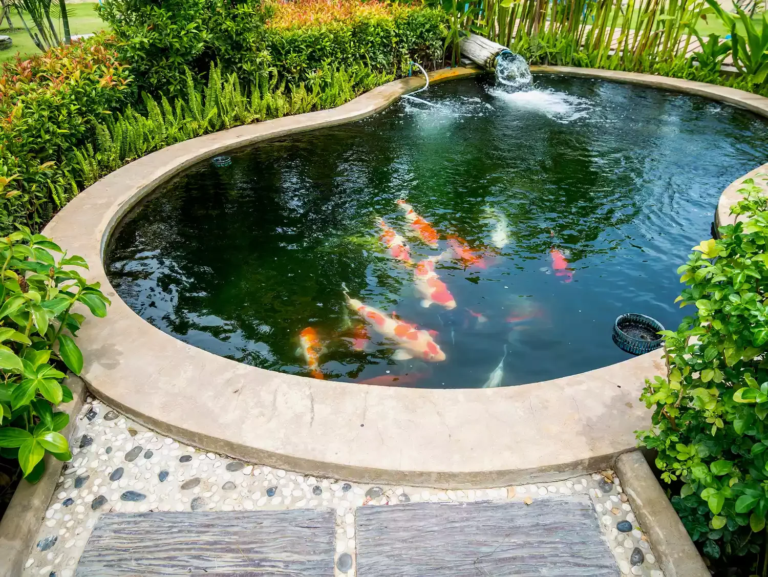 24 Beautiful Koi Pond Designs to Transform Your Outdoor Space Rounded Koi Pond