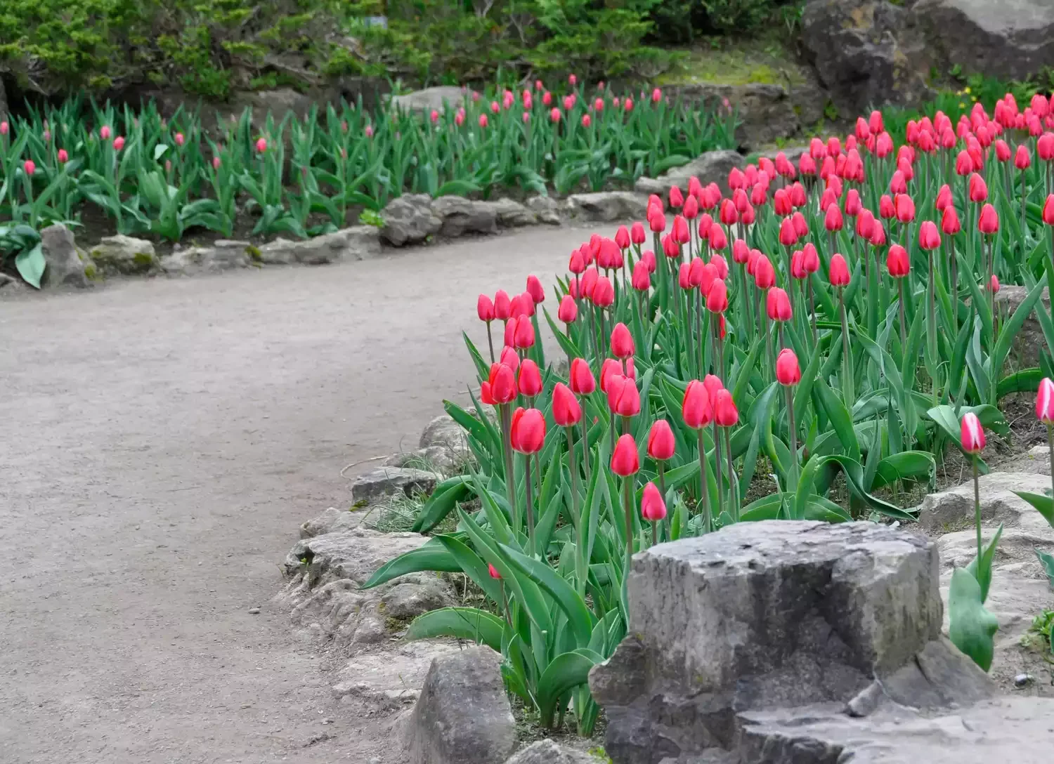30 Affordable and Creative Ways to Define Your Garden Boundaries Rustic Rocks Path