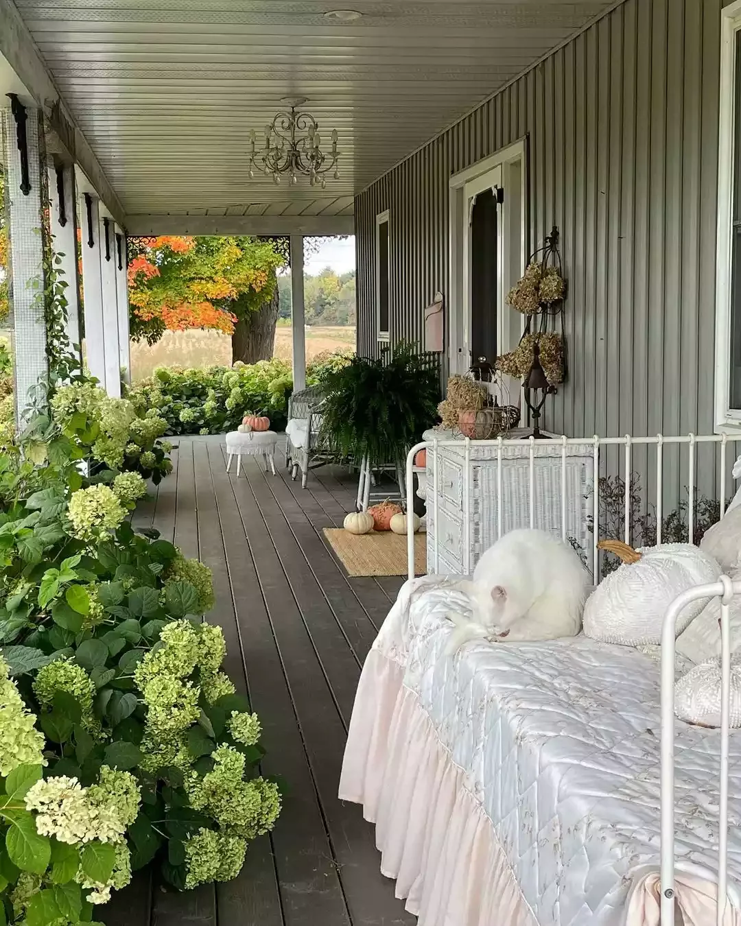 52 Autumn Front Porch Ideas That Will Transform Your Home's Entrance This Fall 43 Save Some Hydrangeas
