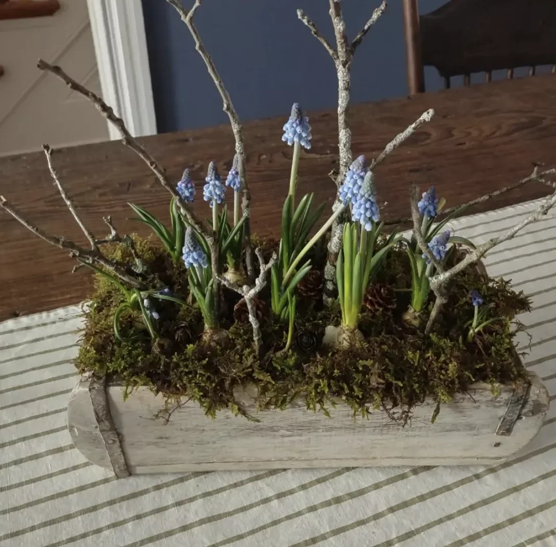 52 Gorgeous Spring Table Centerpiece Ideas to Transform Your Dining Space 8 Say Yes to Moss