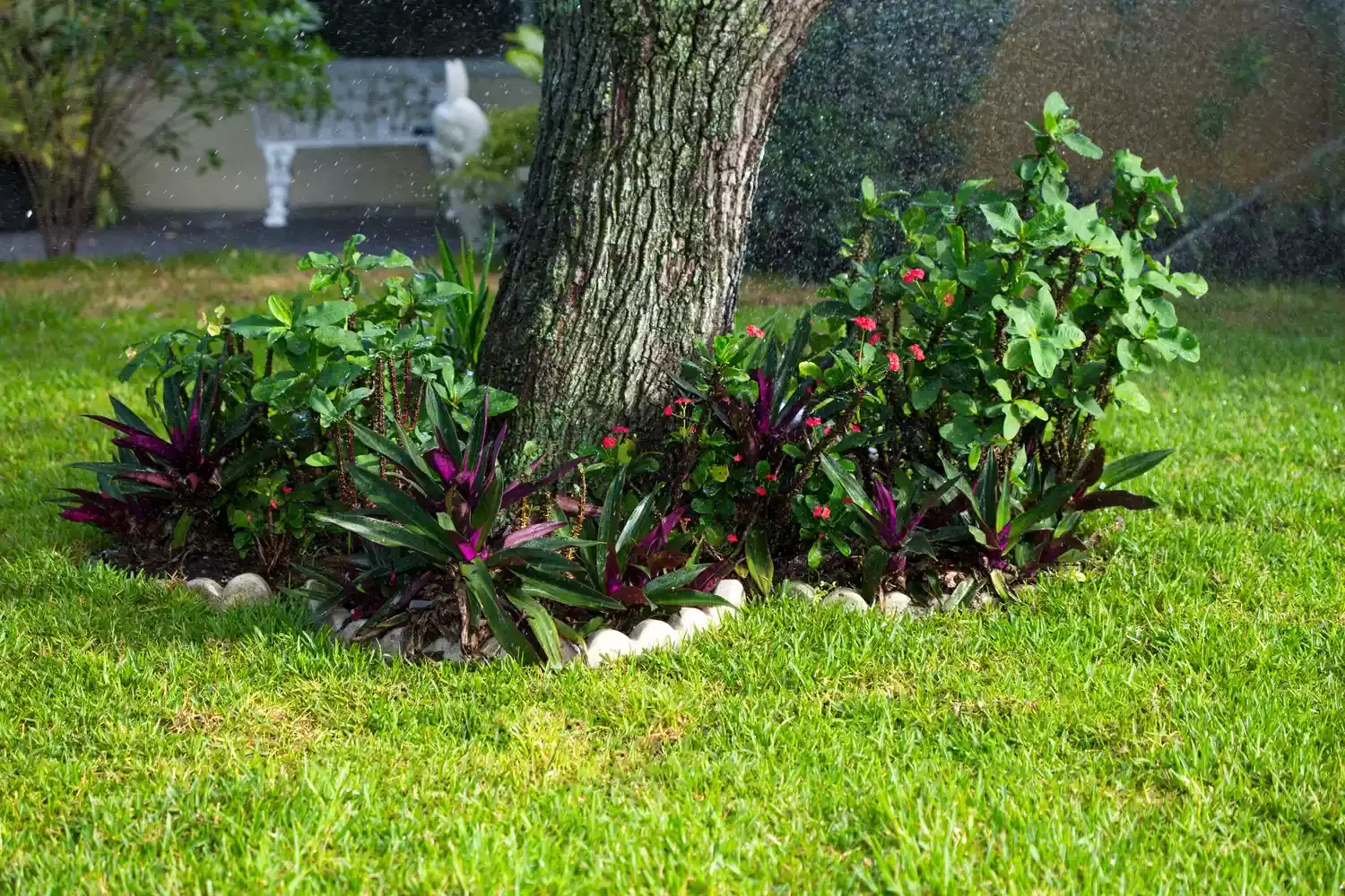 30 Affordable and Creative Ways to Define Your Garden Boundaries Scalloped Stone Edge