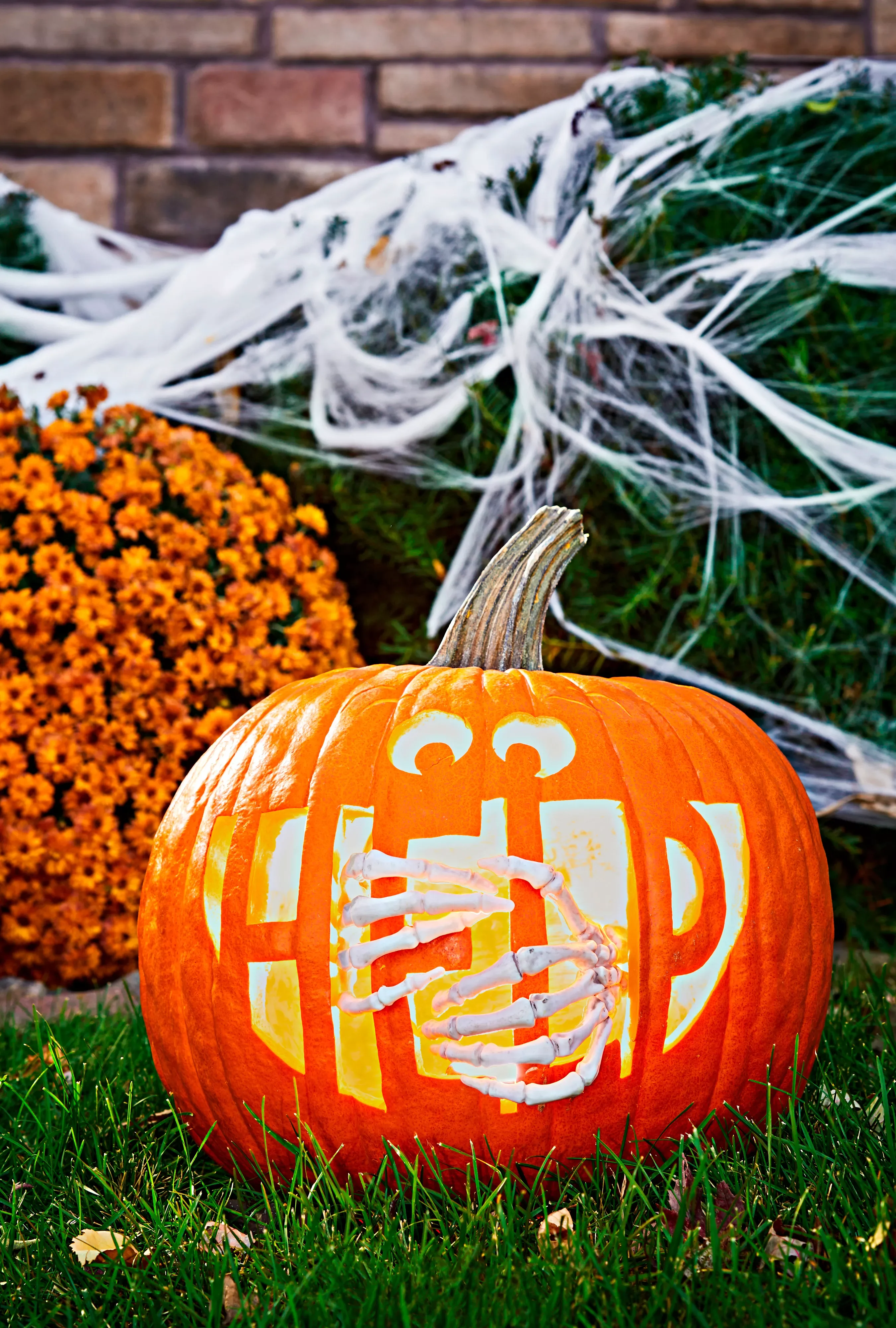 65 Free Pumpkin Carving Templates to Transform Your Porch 1 Screaming Skeleton Stencil