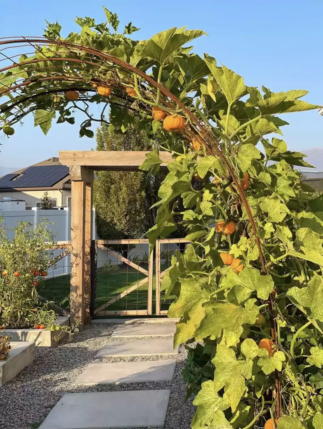 Seasonal Trellis