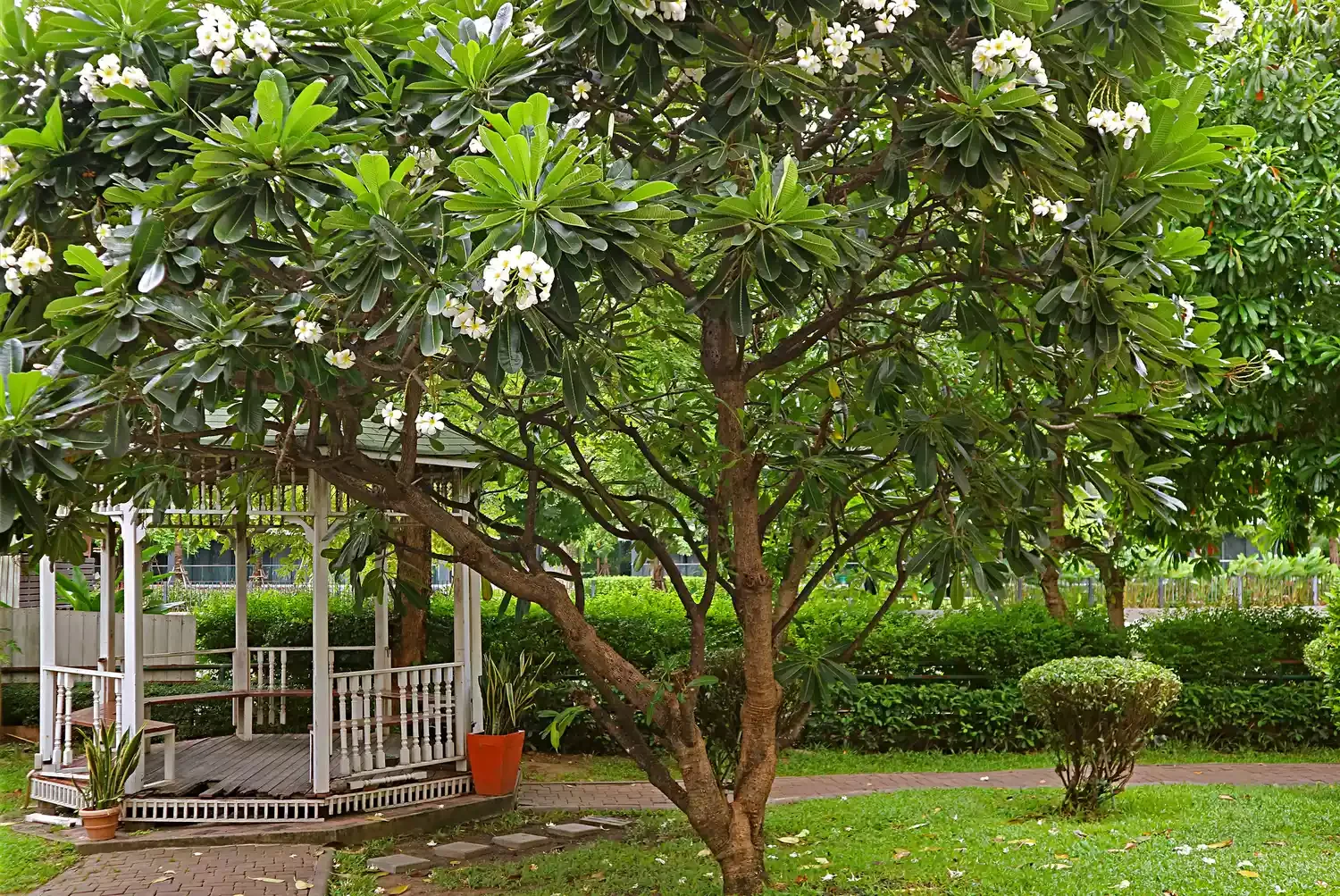 52 Beautiful Gazebo Ideas That Will Transform Your Outdoor Space Seating Gazebo