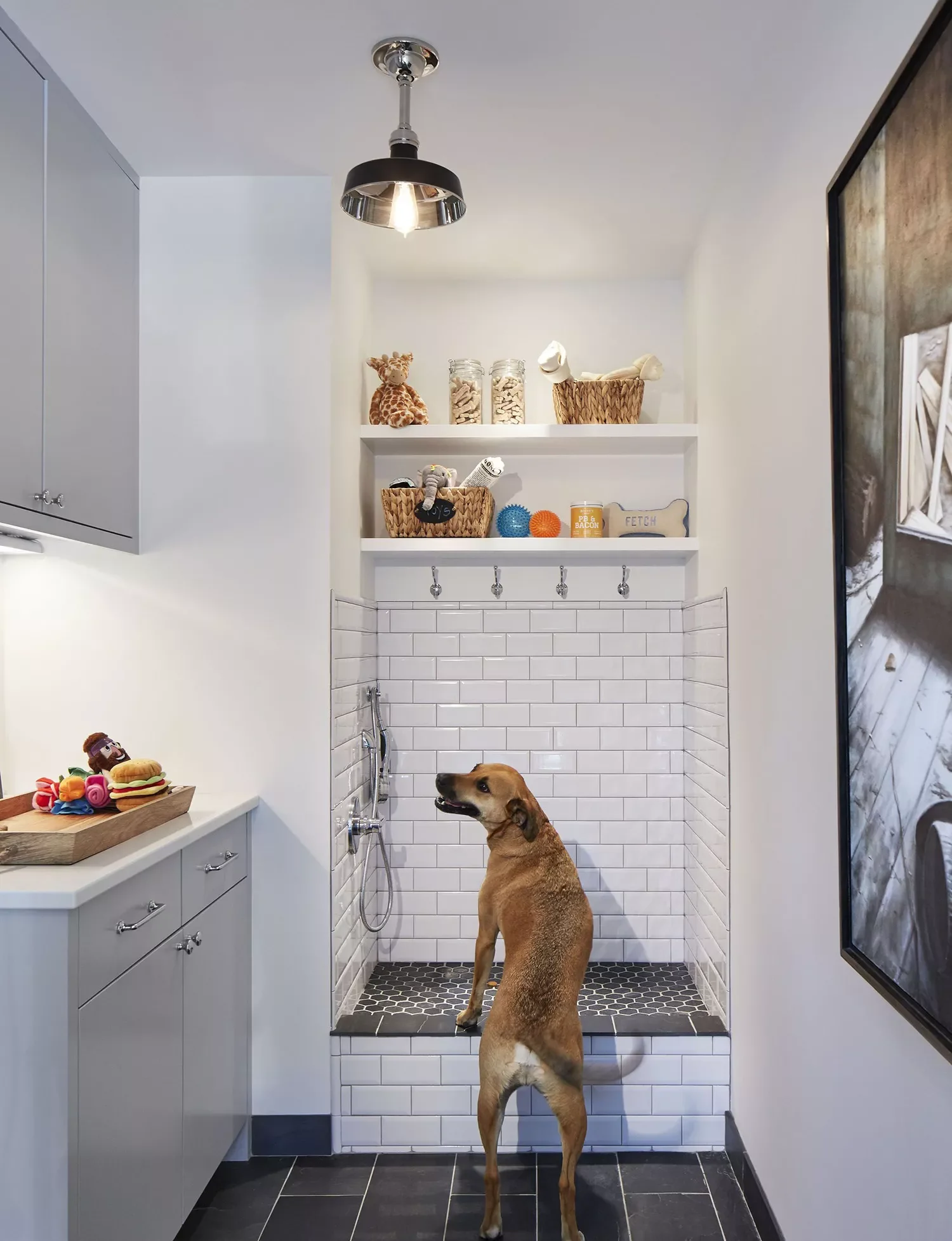 87 Home Decor Ideas That Transform Every Room Set Up a Dog Room