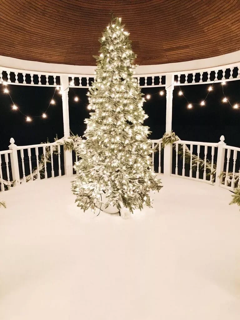 57 Stunning Outdoor Christmas Decorating Ideas That Will Transform Your Home's Holiday Curb Appeal 9 Set Up an Outdoor Tree