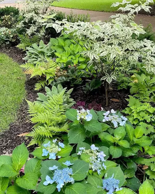82 Stunning Front Yard Landscaping Ideas to Transform Your Home's Curb Appeal This Spring Shaded Garden Bed Walkway