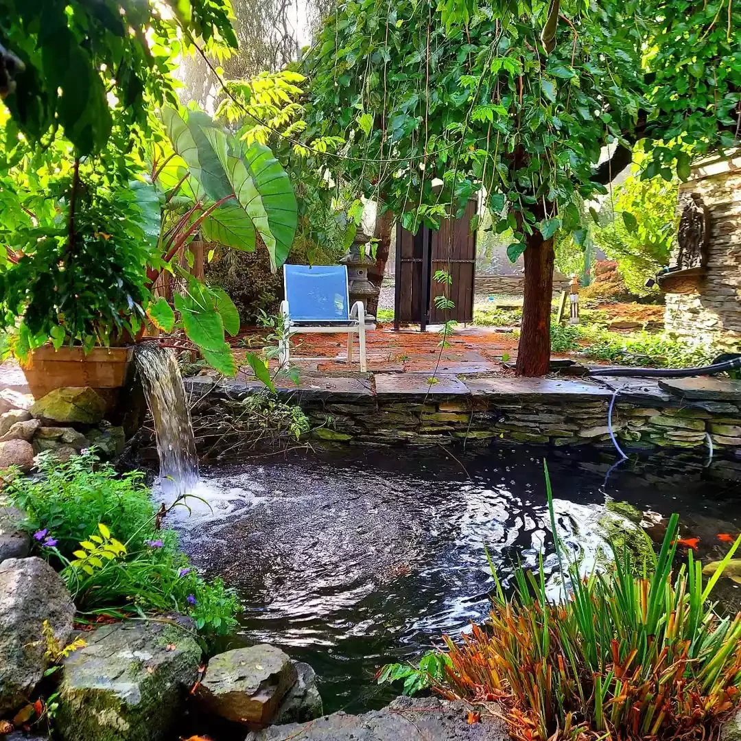 Shady Seating Area