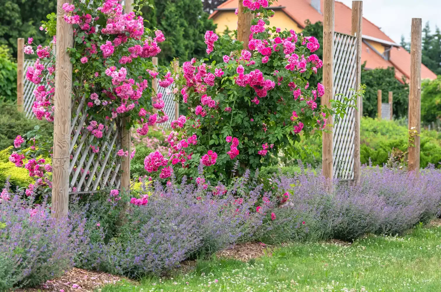 34 Stunning Front Yard Flower Bed Ideas That Will Transform Your Curb Appeal 16 Show Off Your Classic Rose Garden