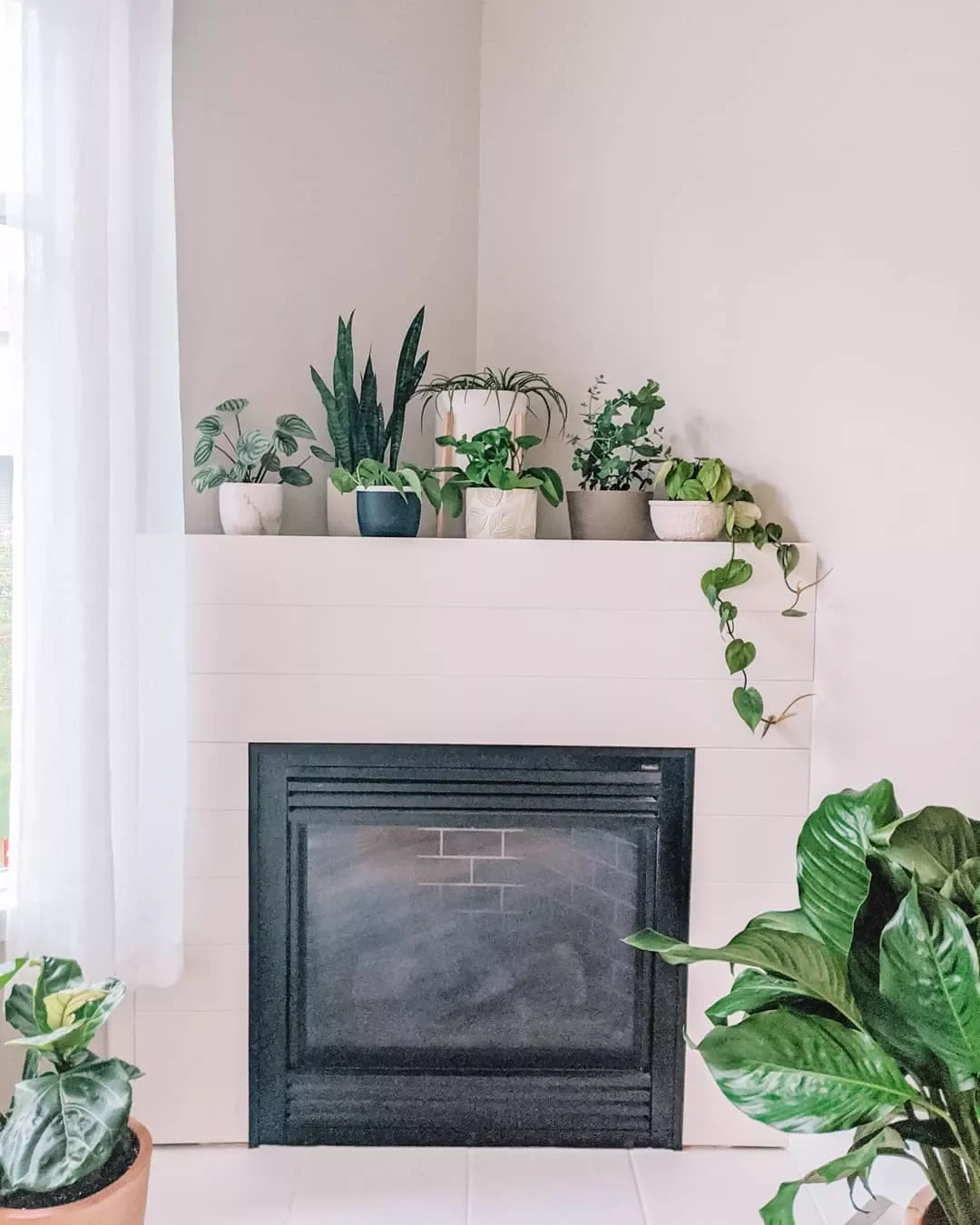 25 Stunning Corner Fireplace Ideas That'll Transform Your Living Space 3 Show Off a Plant Collection
