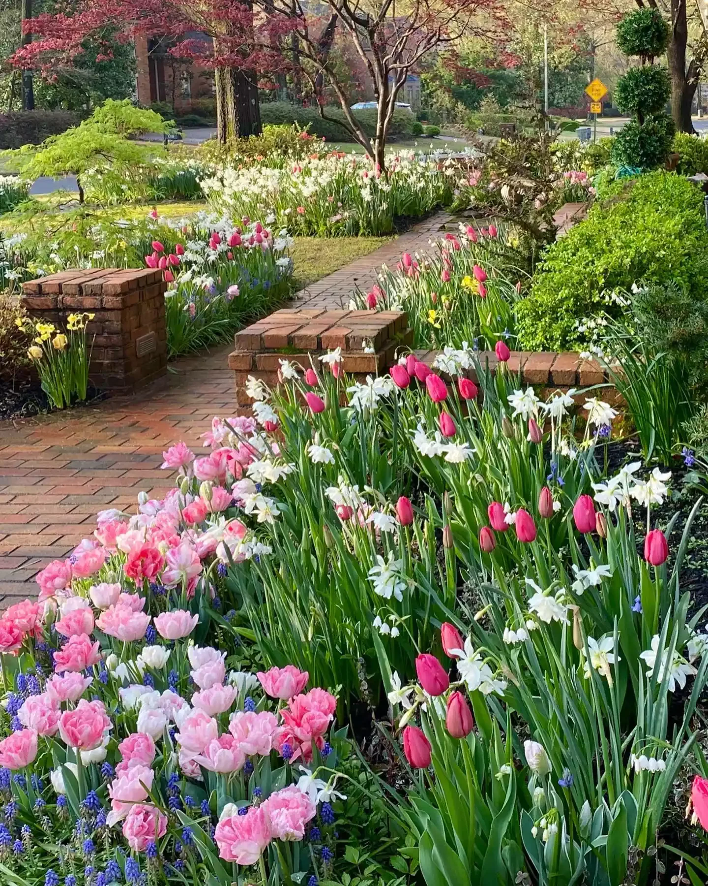 13 Effortless Garden Border Ideas That'll Transform Your Outdoor Space Showcase Spring Bulbs