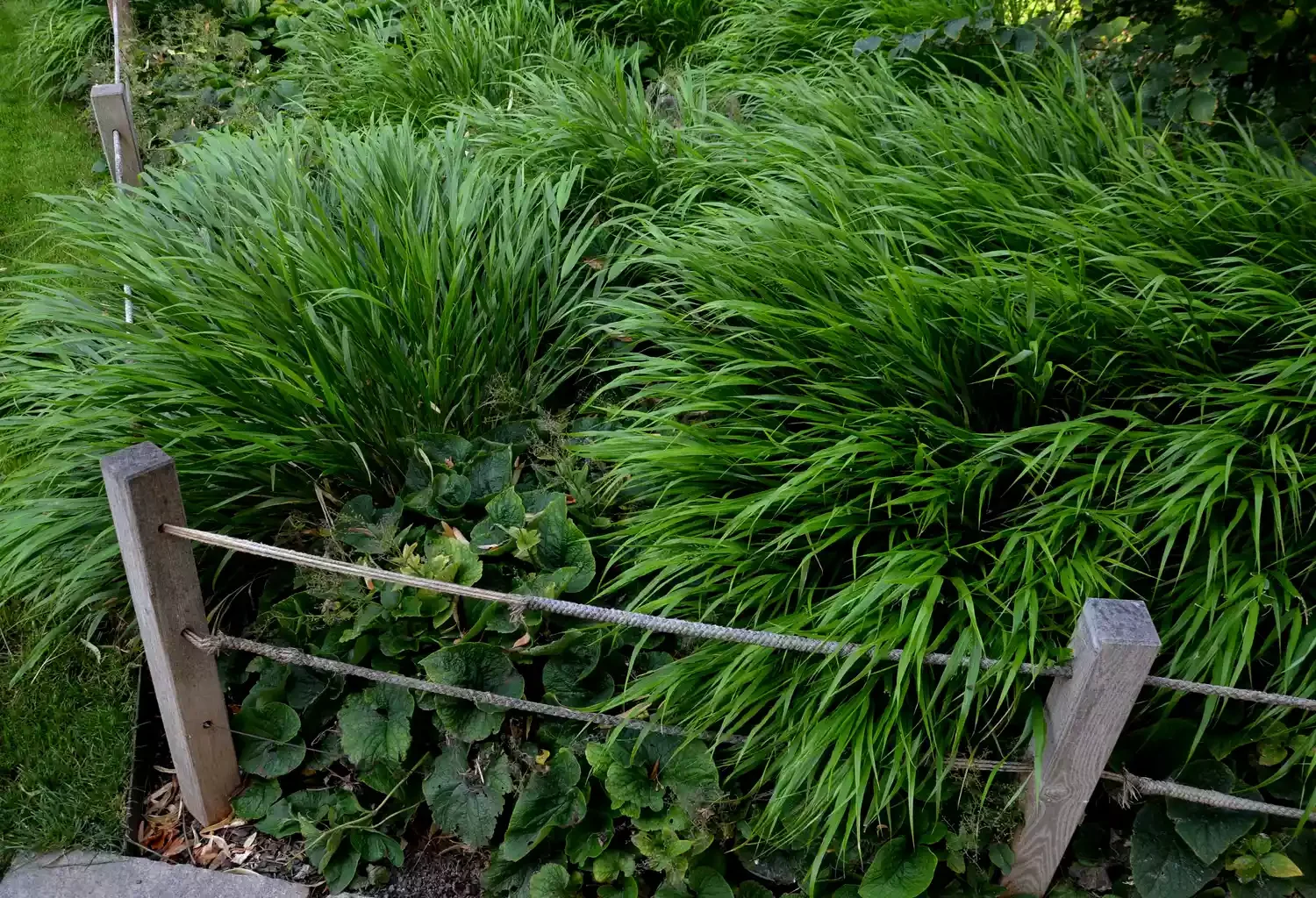 30 Affordable and Creative Ways to Define Your Garden Boundaries Simple Fence Border
