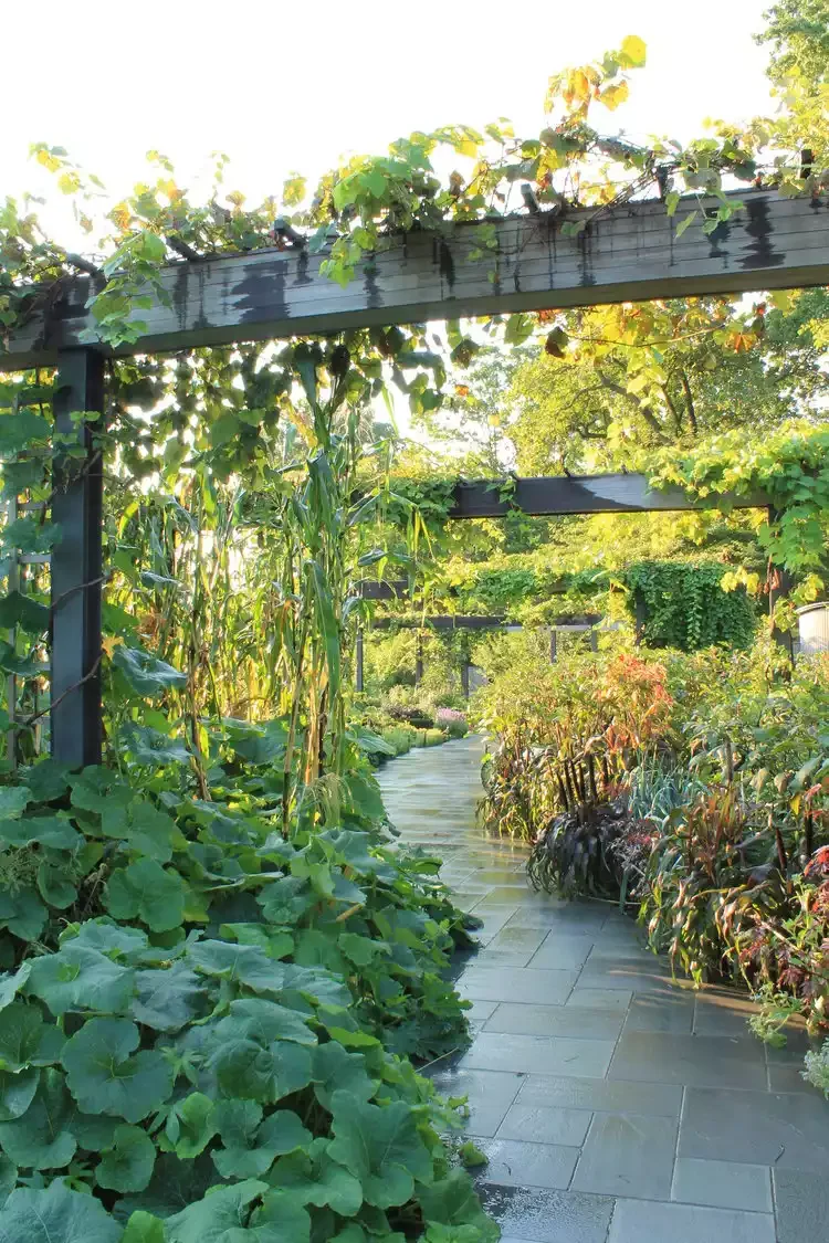 45 Beautiful Backyard Pathway Ideas to Transform Your Outdoor Space Simple Walkway in a Lush Garden