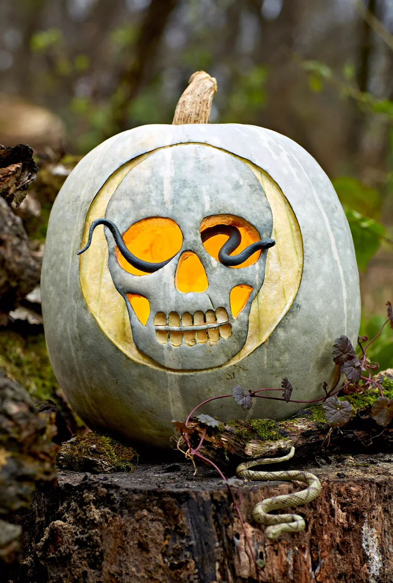 90 Creative Pumpkin Decorating Ideas to Try This Season 2 Skull Cavern