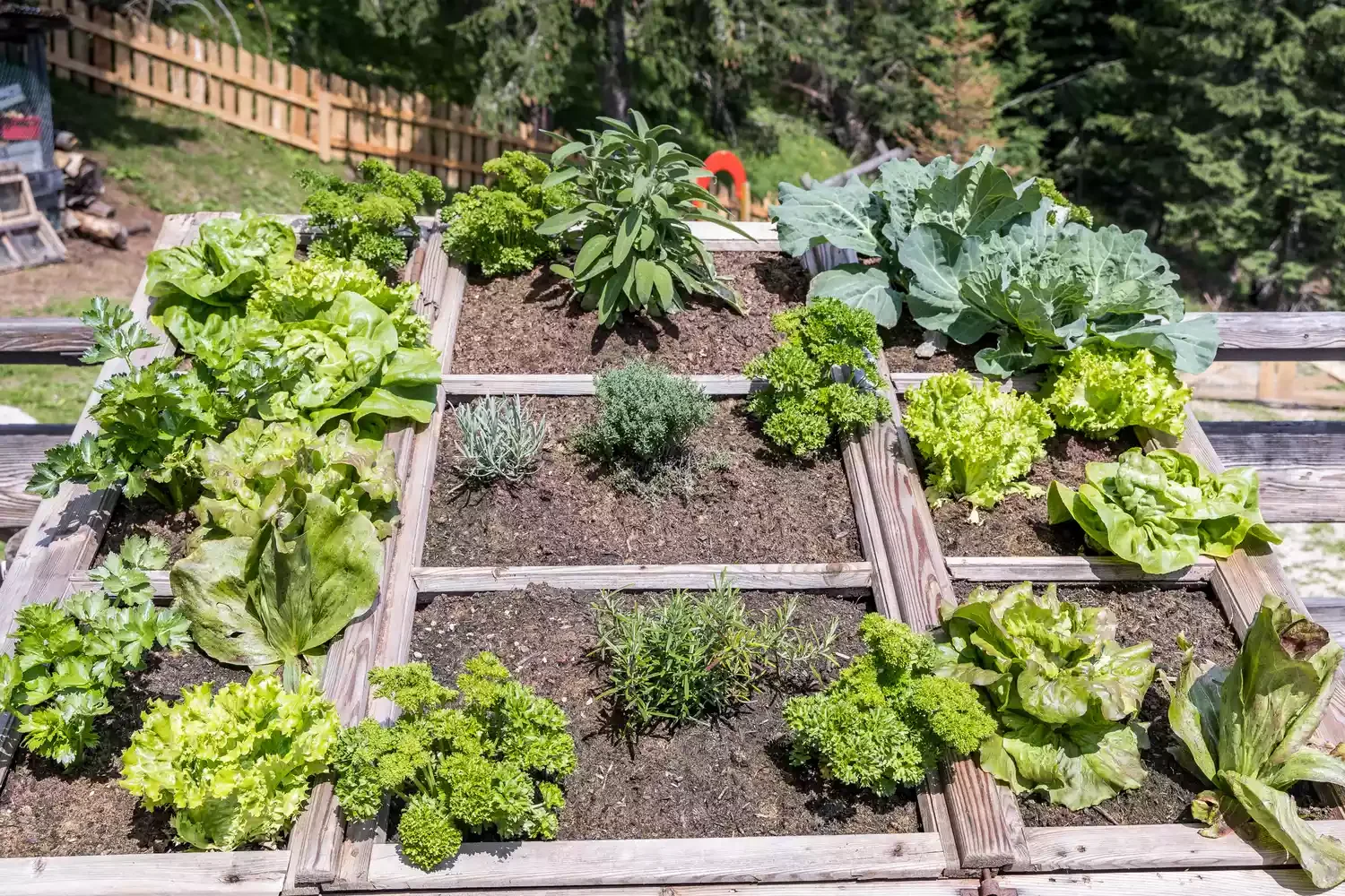 23 Creative Garden Design Ideas That Will Transform Your Outdoor Space Small Vegetable Garden