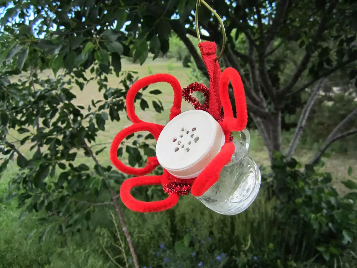 Small but Mighty Hummingbird Feeder
