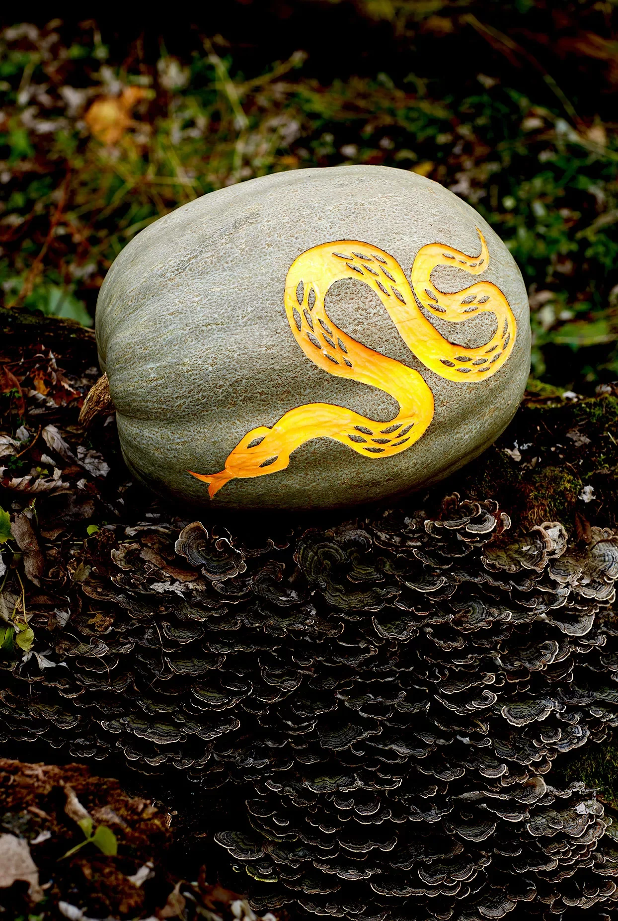 65 Free Pumpkin Carving Templates to Transform Your Porch 4 Snake Pumpkin Carving Picture