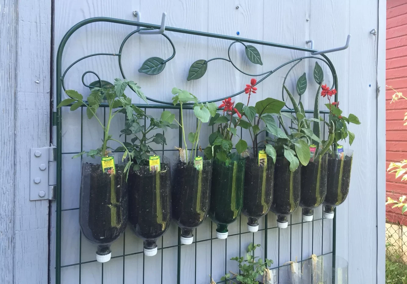 28 Creative DIY Vertical Garden Projects to Transform Your Space Soda Bottle Vertical Garden