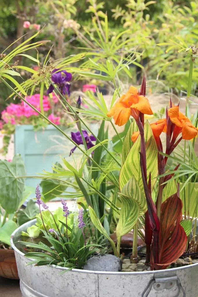 35 Corner Garden Designs That Transform Every Outdoor Space Solar Fountain Corner Garden