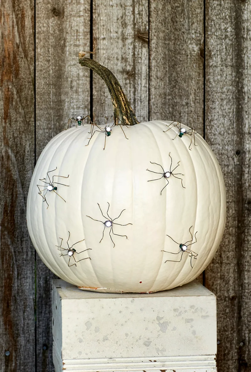 90 Creative Pumpkin Decorating Ideas to Try This Season 10 Sophisticated Spiders