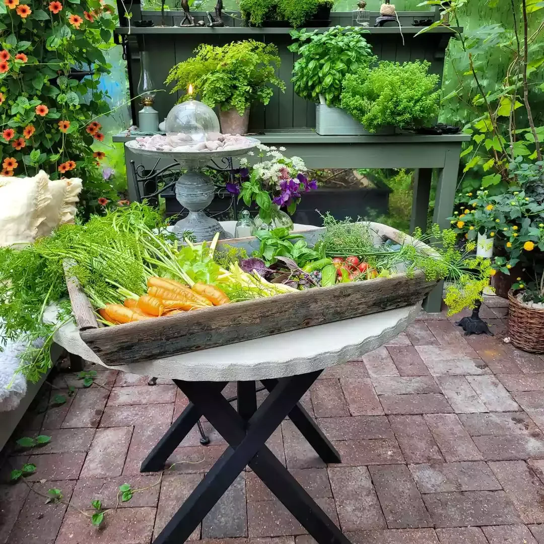 23 Stunning Patio Garden Designs to Transform Your Outdoor Space Spice Up Your Patio With Culinary Herb Plants