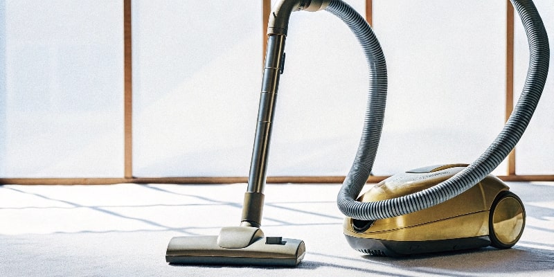 Spots In Your Vacuum That Are Hiding Dangerous Mold