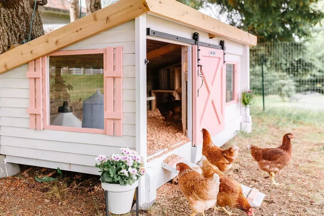 37 Budget Backyard Ideas That Create a Stunning Retreat Spruce Up Your Chicken Coop