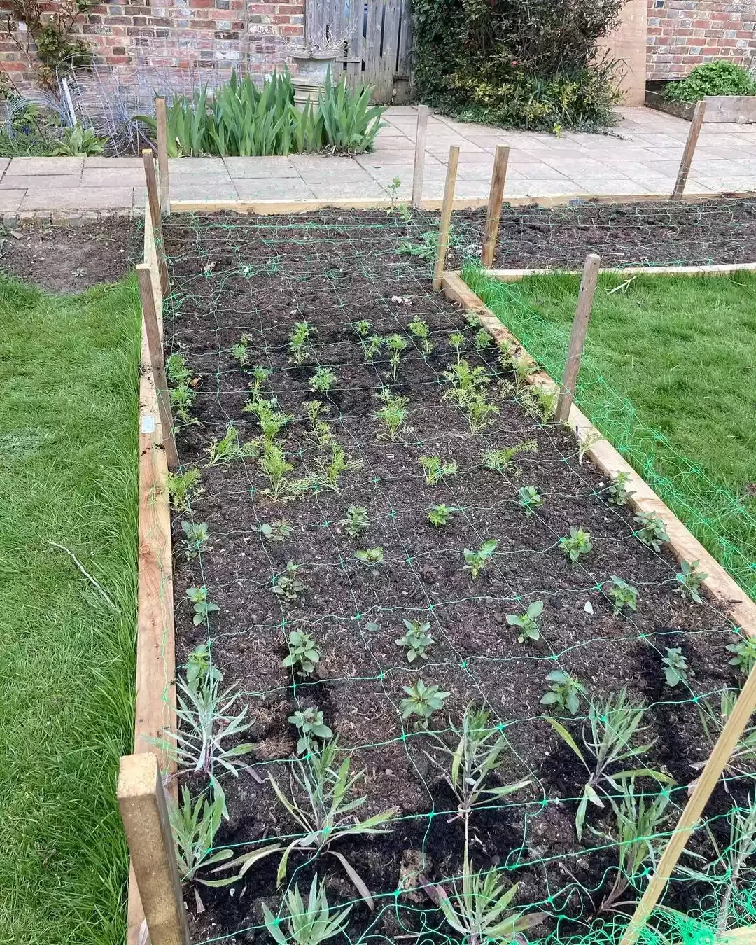 Square Foot Raised Beds