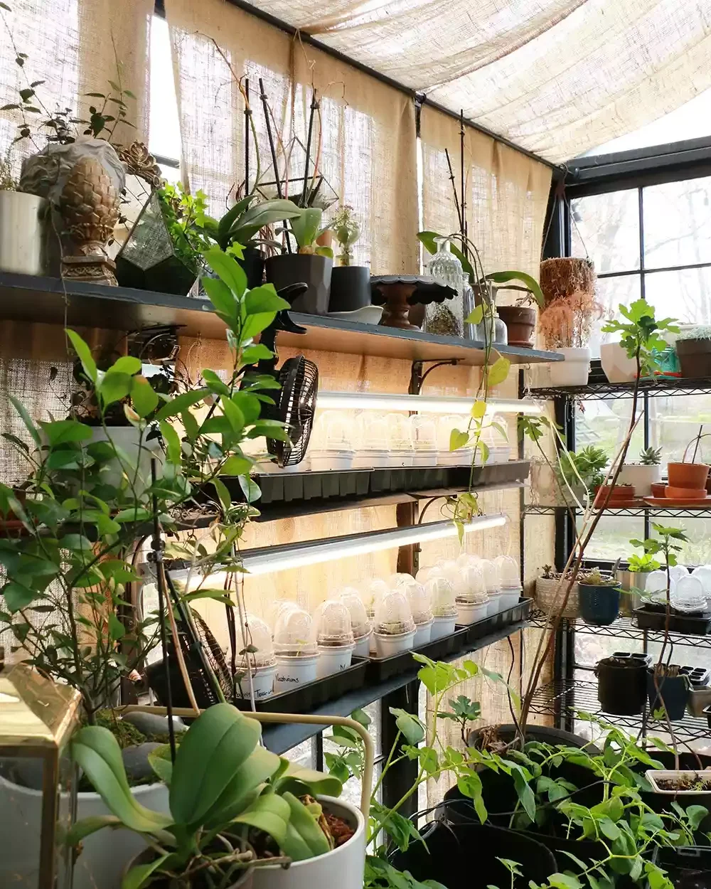 Stack Your Shelves