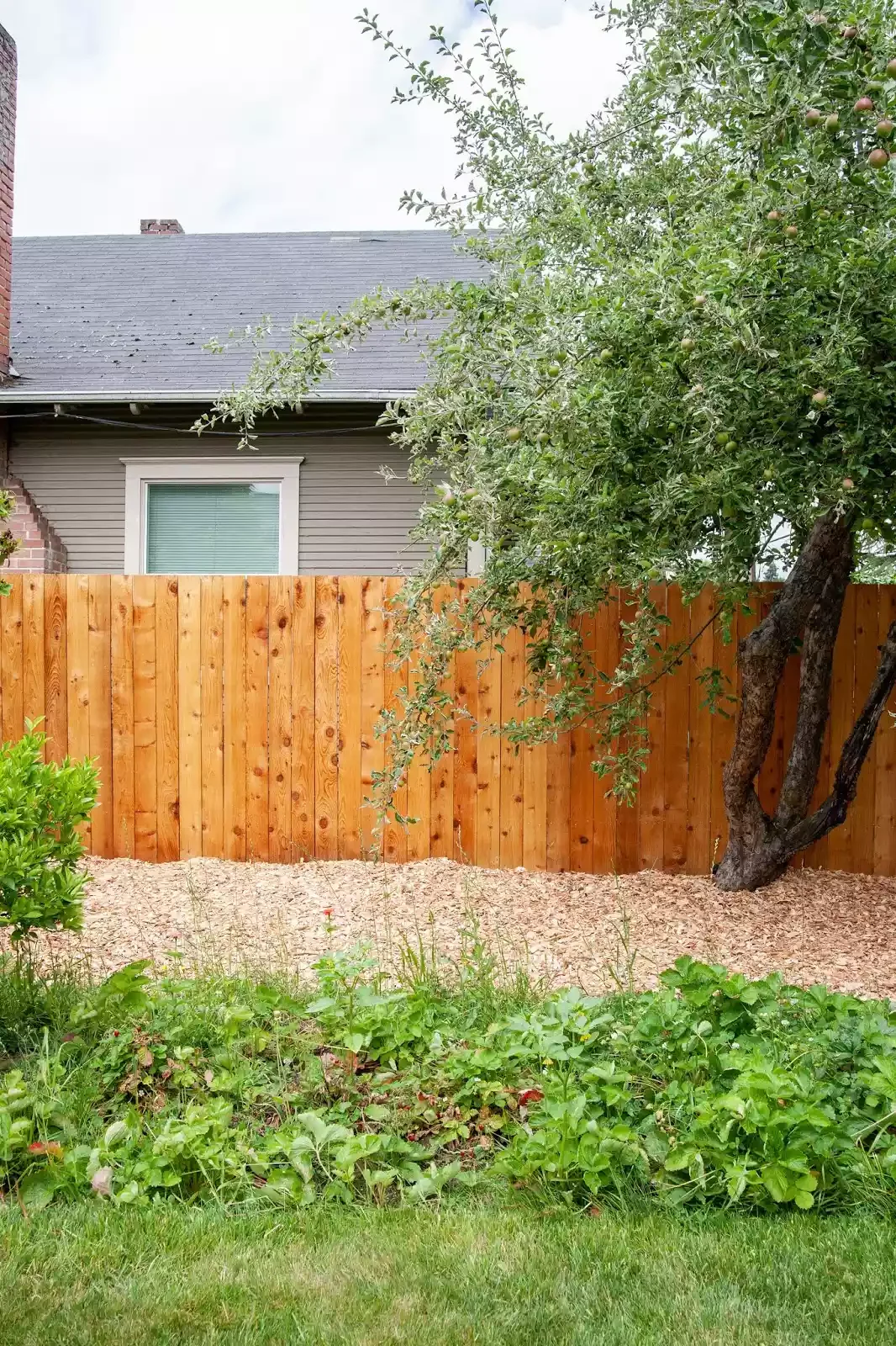 Stain Your Fence to Ensure Longevity