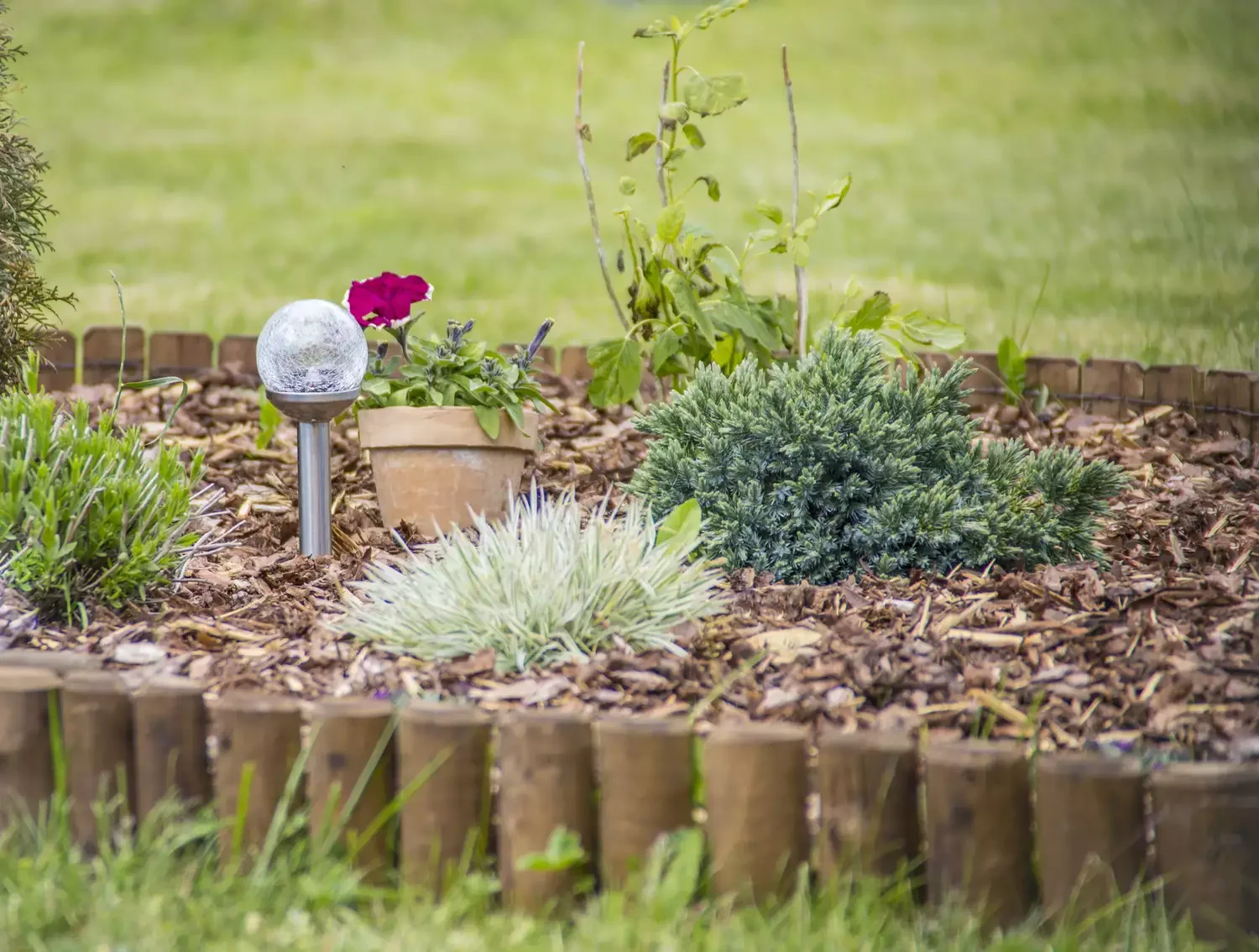 Standard Wood Edging