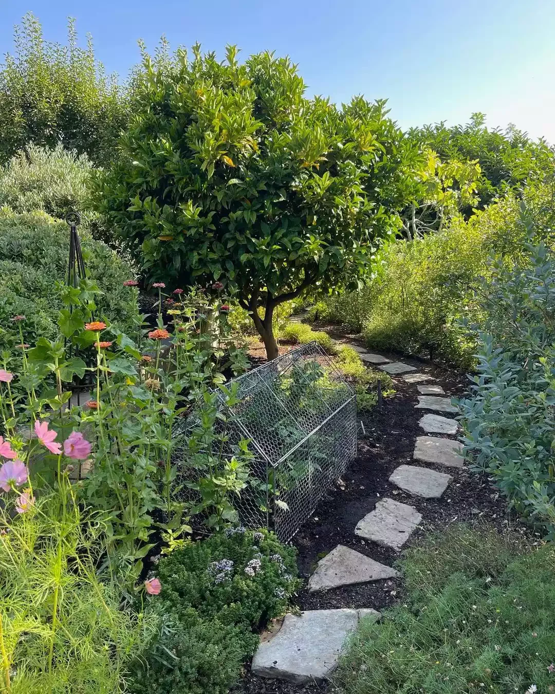 Stepping Stones and Mulch Path
