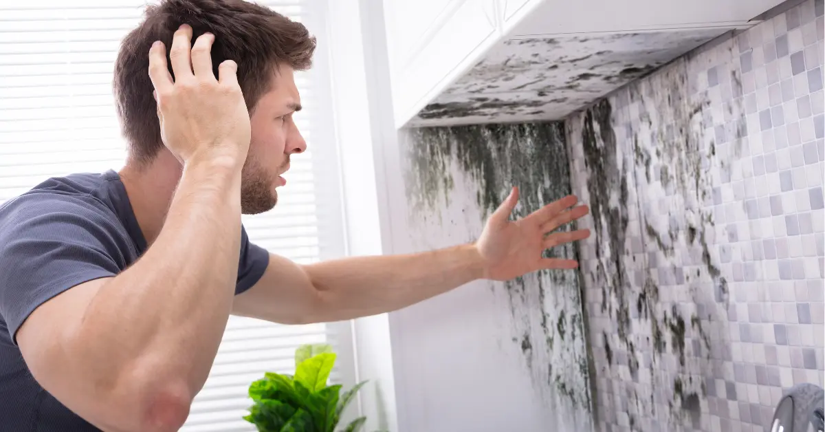 Steps To Take If A Tenant Discovers Mold