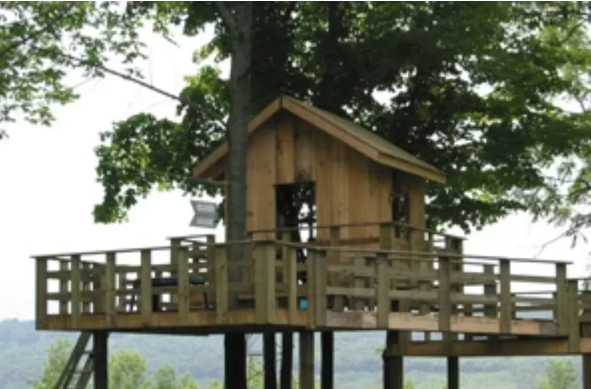 28 Amazing Treehouse Design Ideas That Will Transform Your Backyard 18 Stick With an A-Frame Treehouse