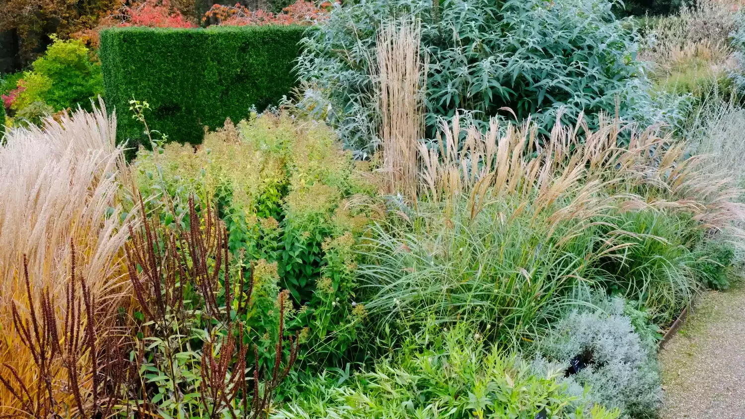 30 Stunning Fall Decor Ideas to Transform Your Outdoor Space Into an Autumn Paradise 10 Stick to Ornamental Grasses