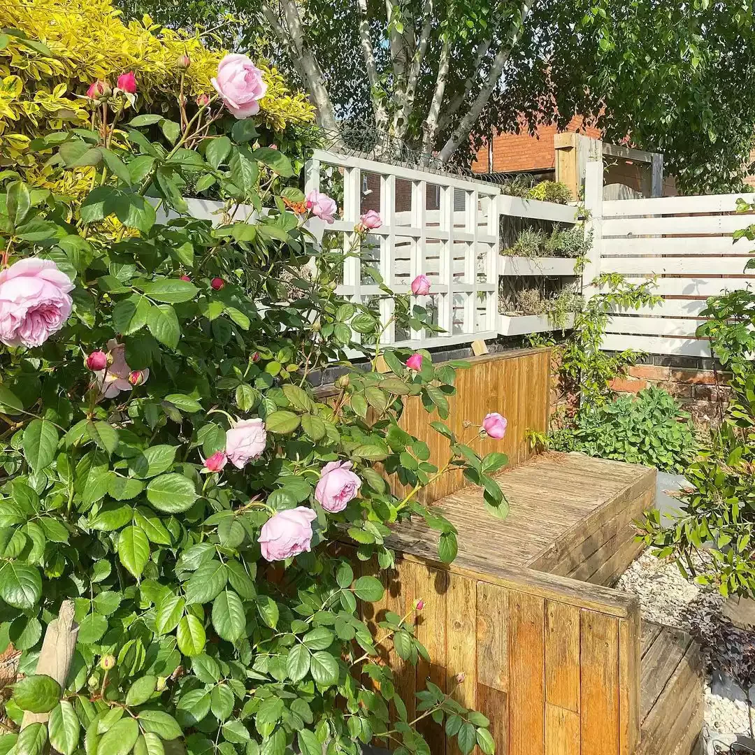 35 Corner Garden Designs That Transform Every Outdoor Space Stop and Smell the Roses