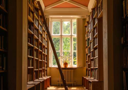 Strategic Bookshelf Placement