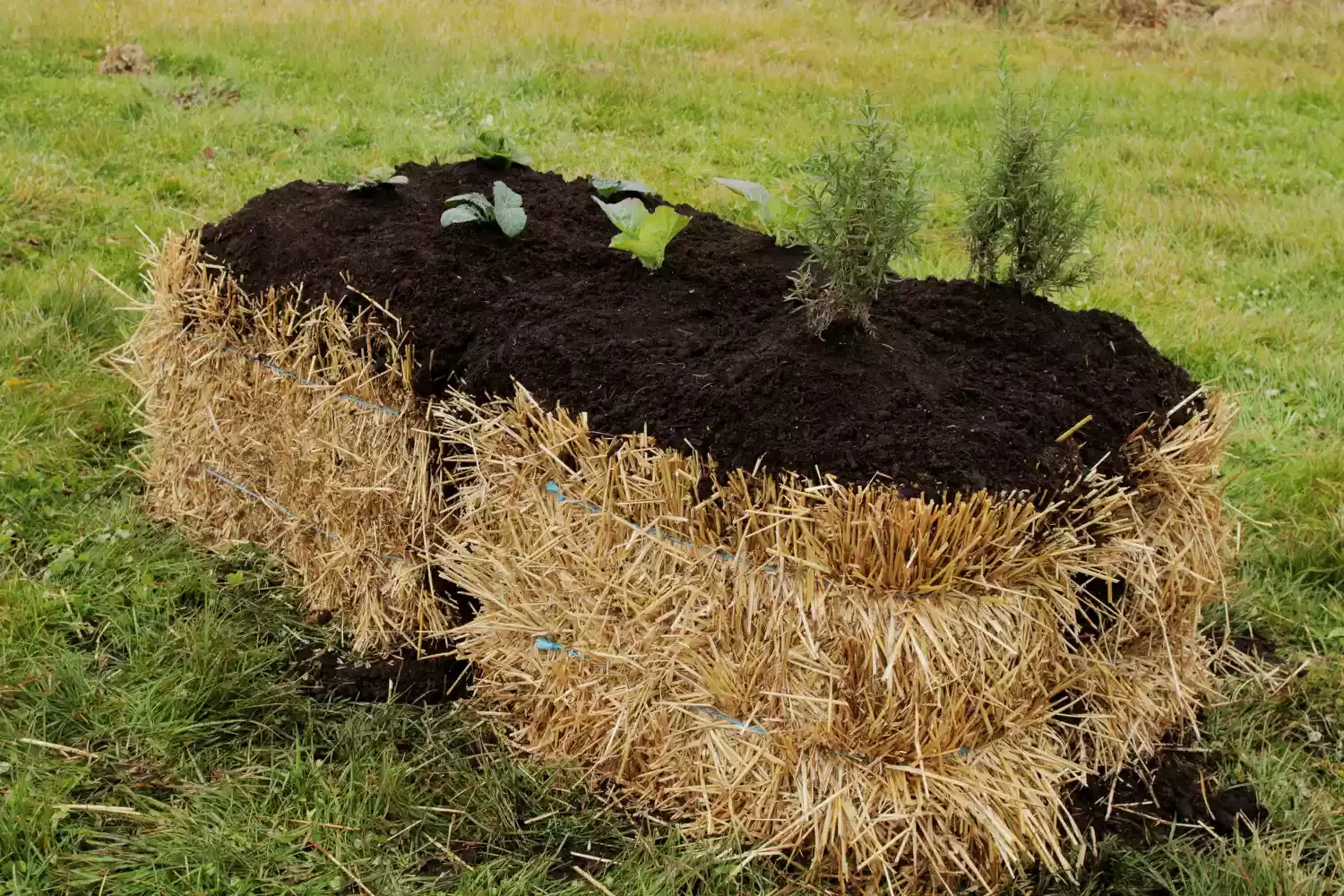Straw Bale Garden Bed