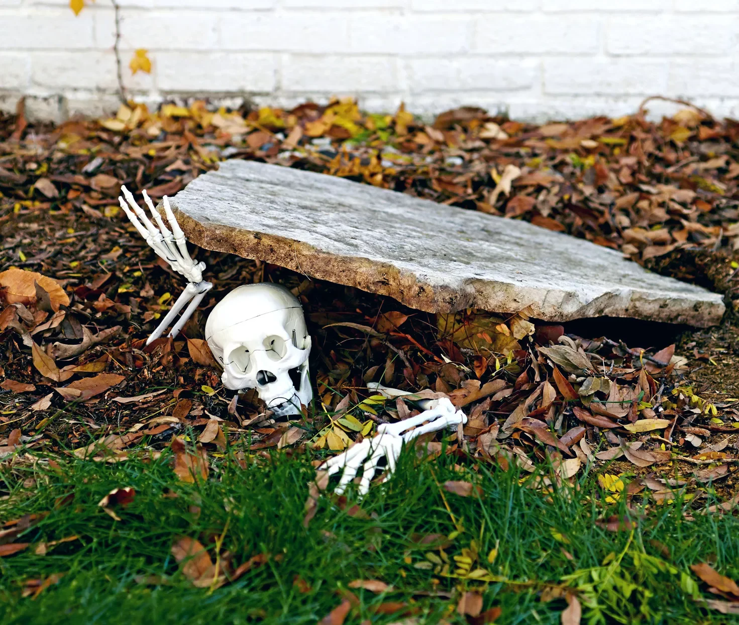56 Creative DIY Halloween Decorations for Outdoor Spaces 23 Stuck-in-the-Soil Skeleton