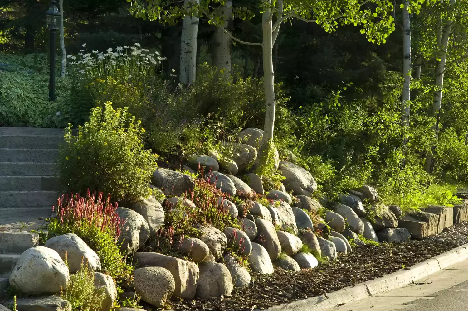 30 Stunning Front Yard Ideas Using Rocks and Mulch Stunning Dimension With Large Boulders