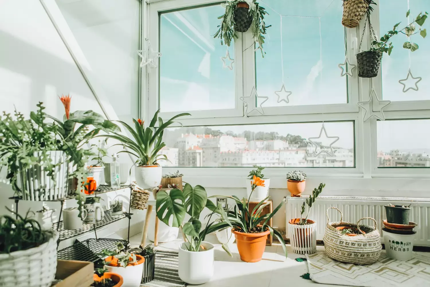 8 Designer-Approved Ways to Transform the Space Above Your Windows 2 Style Some Plants
