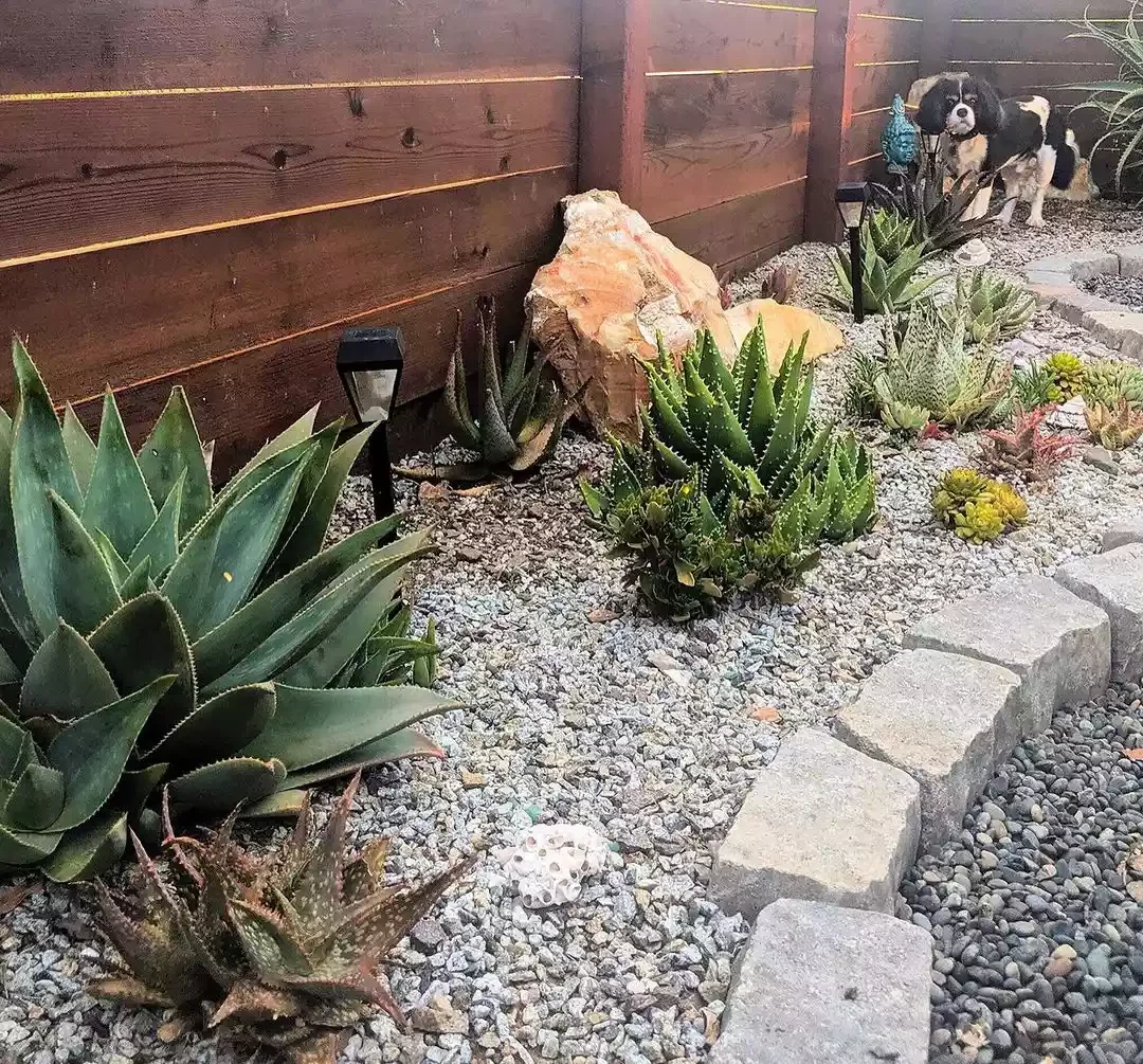 14 Creative Gravel Garden Ideas for a Beautiful Water-Smart Landscape Succulent Garden