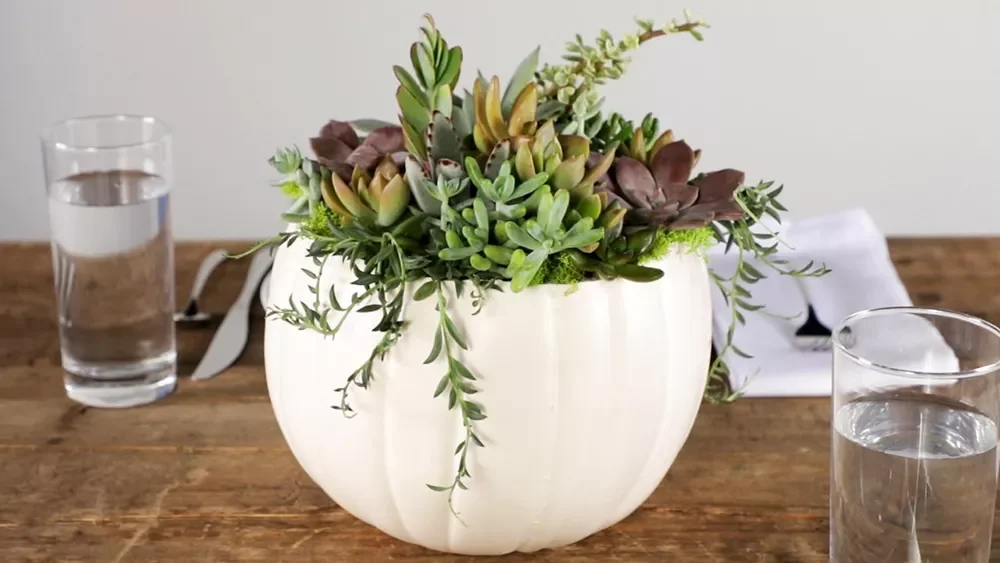 80 Quick Halloween Crafts You Can Complete in One Day 59 Succulent Pumpkin Planter