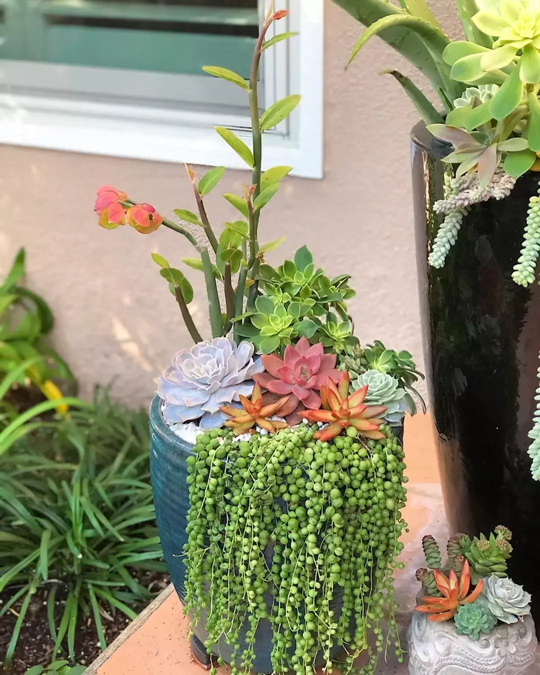 12 Water-Smart Landscaping Ideas for Your Home Succulents in Containers